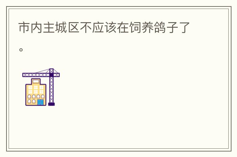 市內主城區不應該在飼養鴿子了。