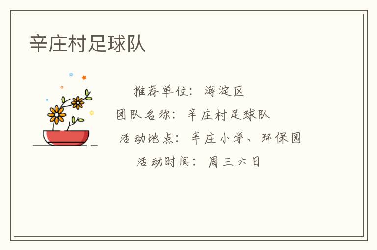 辛莊村足球隊