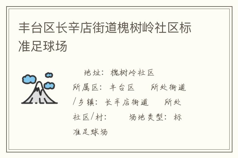 豐臺區長辛店街道槐樹嶺社區標準足球場