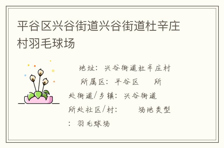 平谷區興谷街道興谷街道杜辛莊村羽毛球場