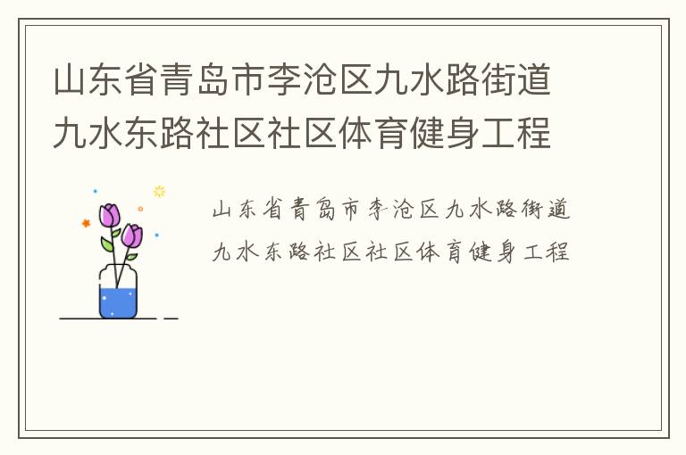 山東省青島市李滄區九水路街道九水東路社區社區體育健身工程