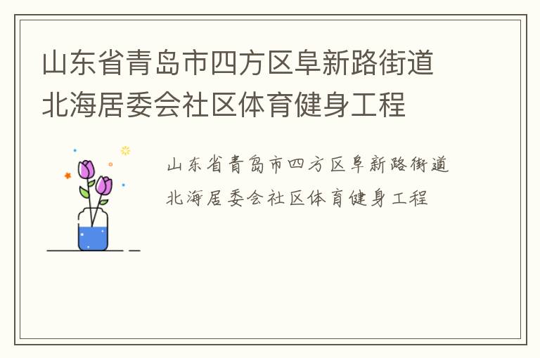 山東省青島市四方區阜新路街道北海居委會社區體育健身工程