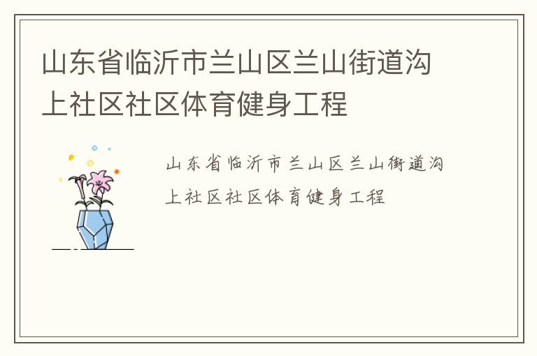 山東省臨沂市蘭山區蘭山街道溝上社區社區體育健身工程