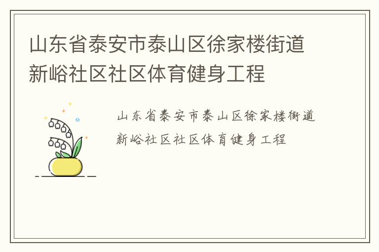 山東省泰安市泰山區徐家樓街道新峪社區社區體育健身工程