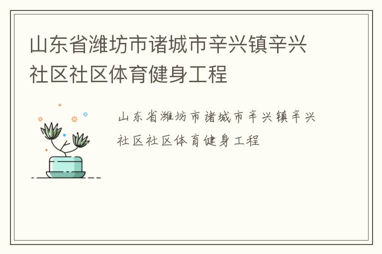 山東省濰坊市諸城市辛興鎮辛興社區社區體育健身工程