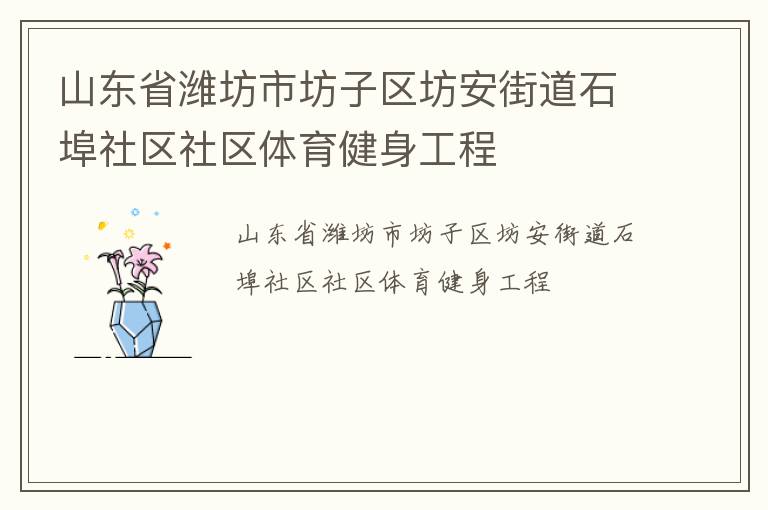 山東省濰坊市坊子區坊安街道石埠社區社區體育健身工程