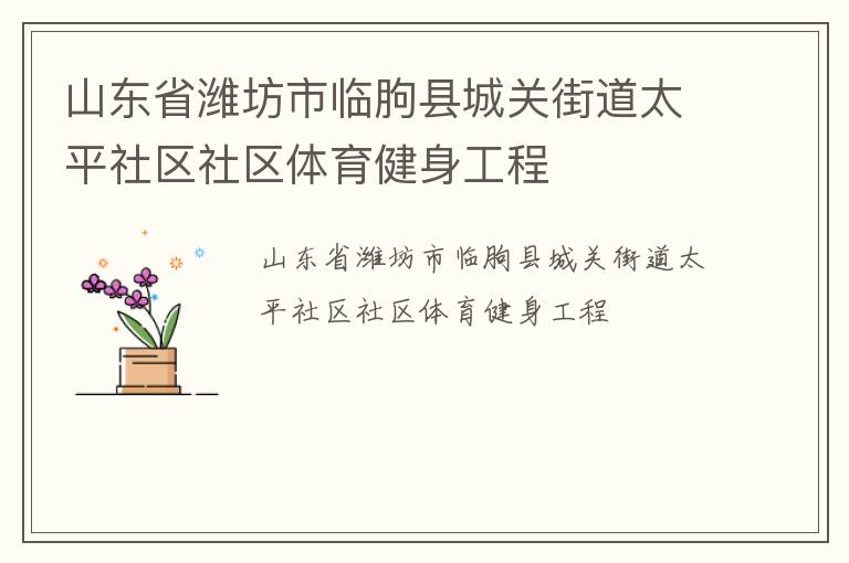 山東省濰坊市臨朐縣城關街道太平社區社區體育健身工程