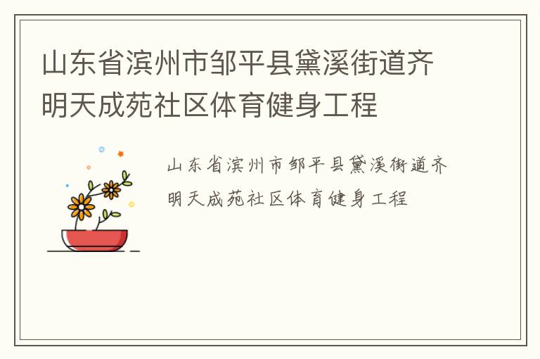 山東省濱州市鄒平縣黛溪街道齊明天成苑社區體育健身工程