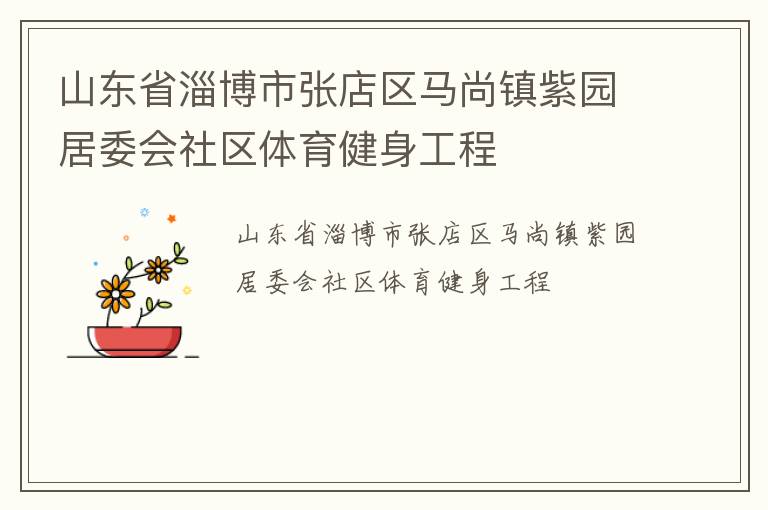 山東省淄博市張店區馬尚鎮紫園居委會社區體育健身工程