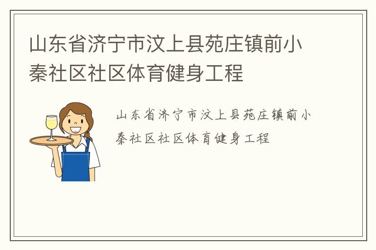 山東省濟寧市汶上縣苑莊鎮前小秦社區社區體育健身工程
