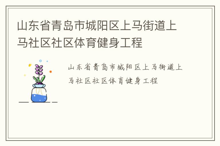 山東省青島市城陽區上馬街道上馬社區社區體育健身工程