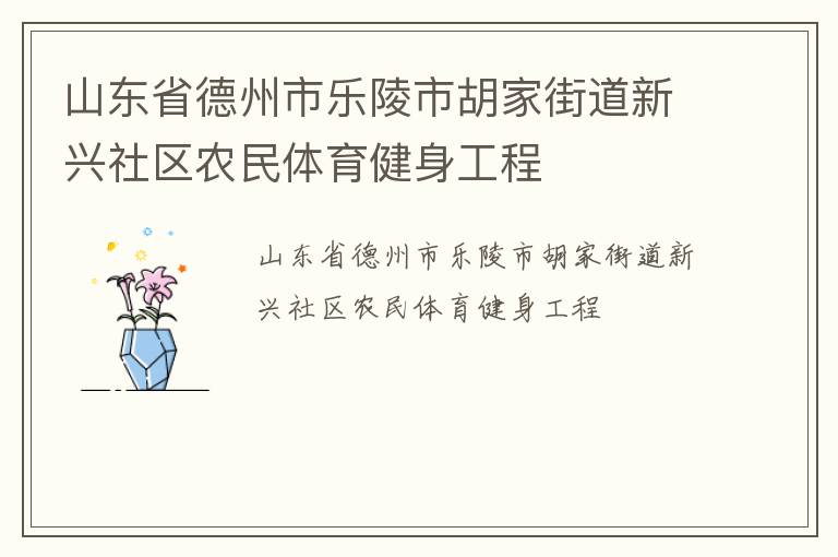 山東省德州市樂陵市胡家街道新興社區農民體育健身工程