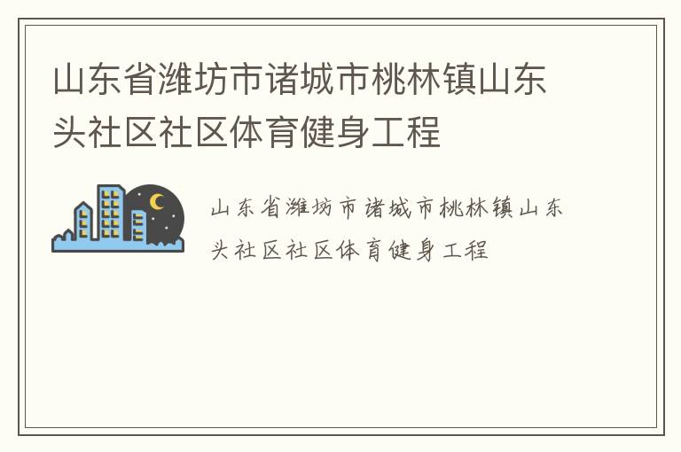 山東省濰坊市諸城市桃林鎮山東頭社區社區體育健身工程