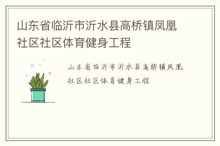 山東省臨沂市沂水縣高橋鎮鳳凰社區社區體育健身工程