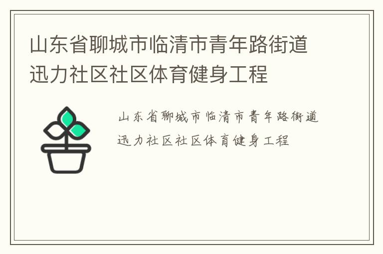山東省聊城市臨清市青年路街道迅力社區社區體育健身工程