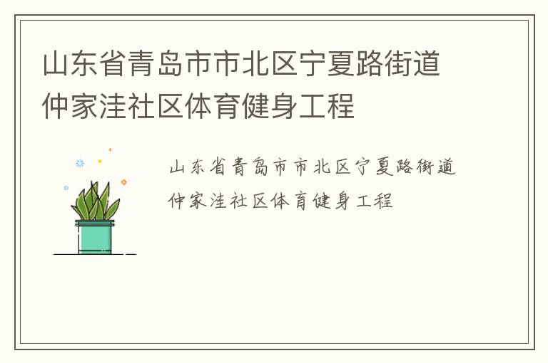 山東省青島市市北區寧夏路街道仲家洼社區體育健身工程
