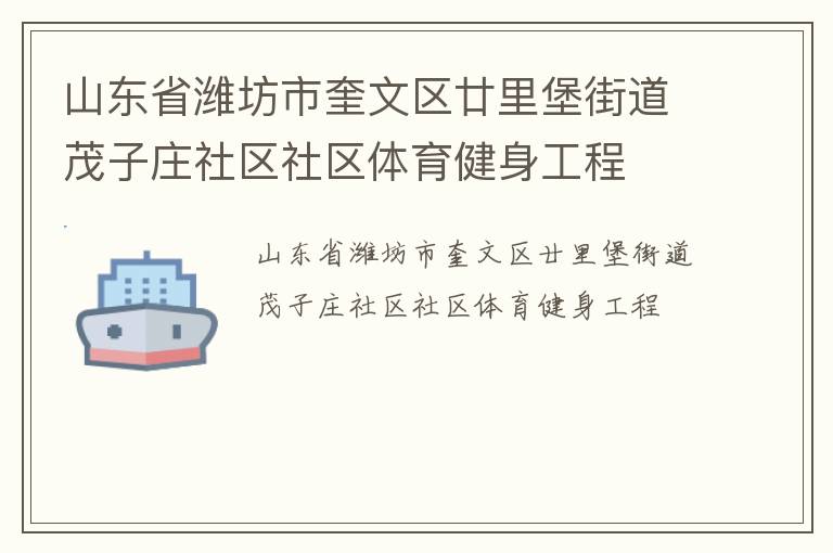 山東省濰坊市奎文區(qū)廿里堡街道茂子莊社區(qū)社區(qū)體育健身工程