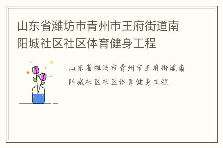山東省濰坊市青州市王府街道南陽(yáng)城社區(qū)社區(qū)體育健身工程