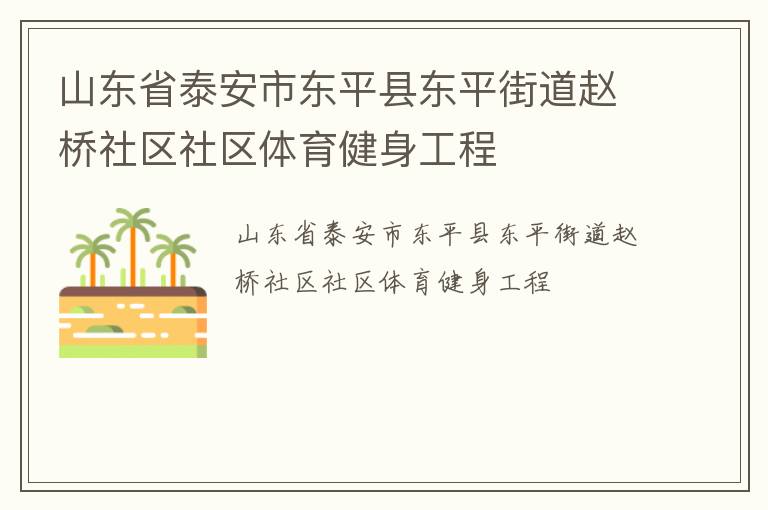 山東省泰安市東平縣東平街道趙橋社區社區體育健身工程
