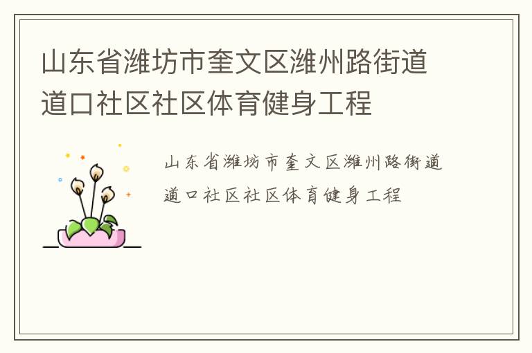 山東省濰坊市奎文區濰州路街道道口社區社區體育健身工程