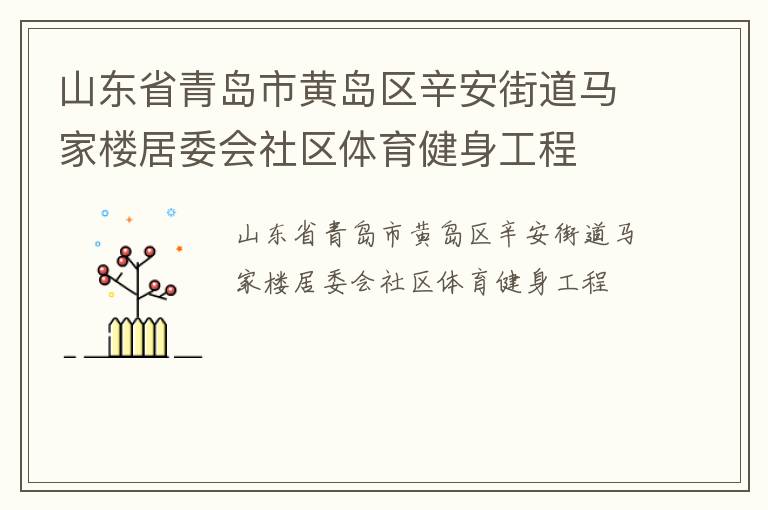 山東省青島市黃島區(qū)辛安街道馬家樓居委會社區(qū)體育健身工程