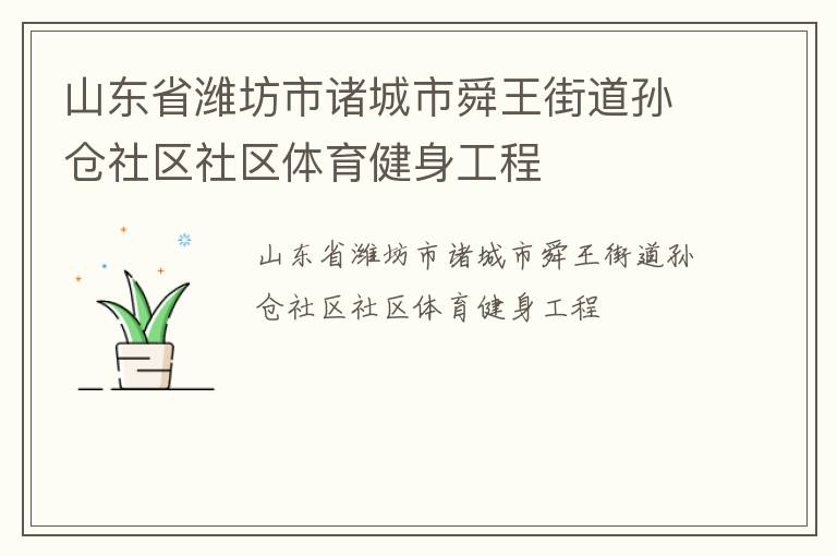 山東省濰坊市諸城市舜王街道孫倉社區社區體育健身工程