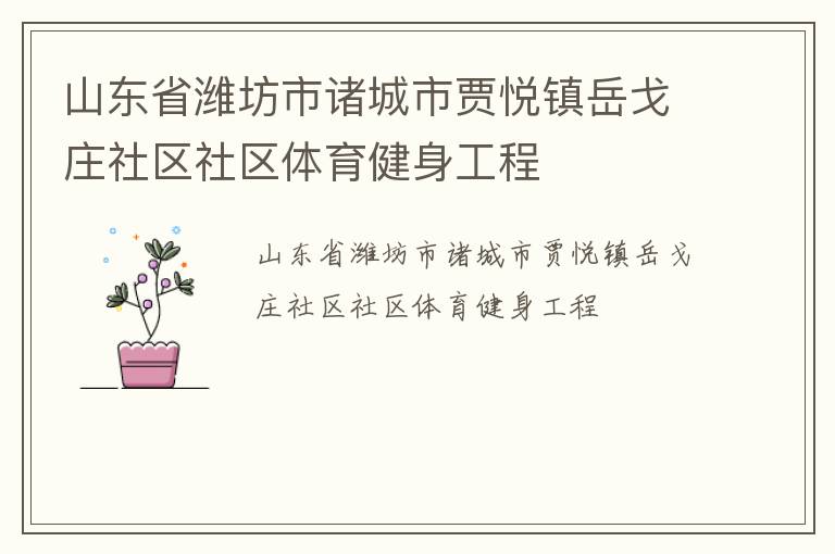 山東省濰坊市諸城市賈悅鎮岳戈莊社區社區體育健身工程