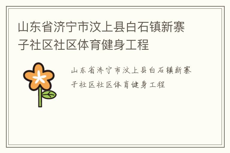 山東省濟(jì)寧市汶上縣白石鎮(zhèn)新寨子社區(qū)社區(qū)體育健身工程