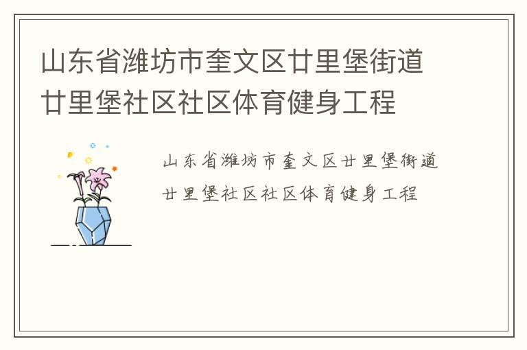 山東省濰坊市奎文區廿里堡街道廿里堡社區社區體育健身工程