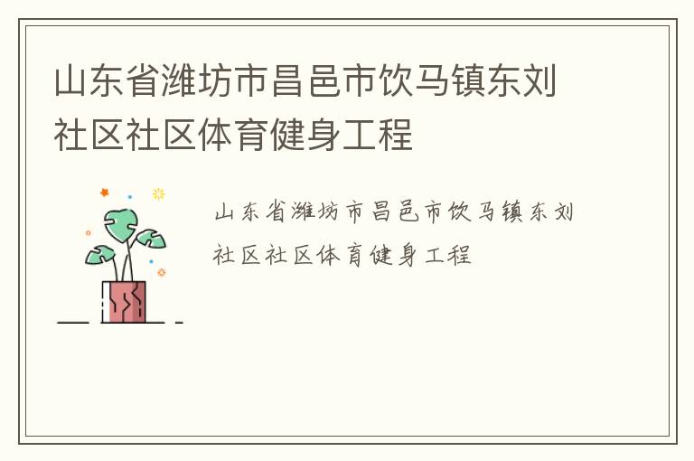 山東省濰坊市昌邑市飲馬鎮東劉社區社區體育健身工程