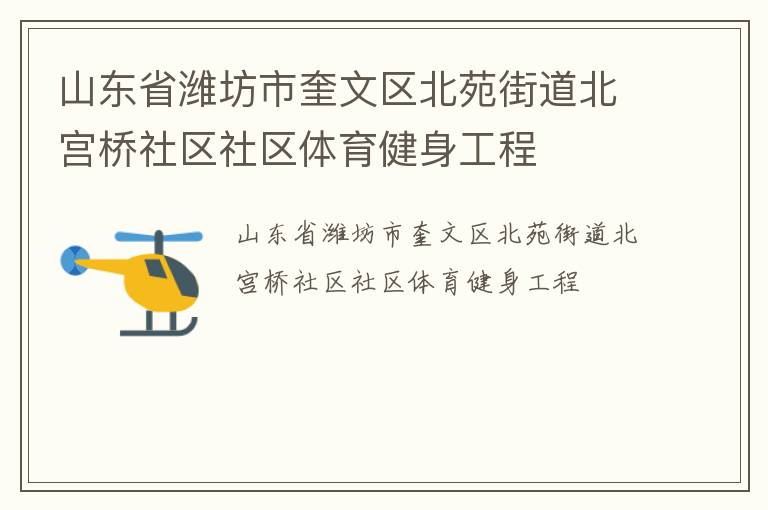 山東省濰坊市奎文區北苑街道北宮橋社區社區體育健身工程