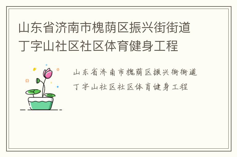 山東省濟(jì)南市槐蔭區(qū)振興街街道丁字山社區(qū)社區(qū)體育健身工程