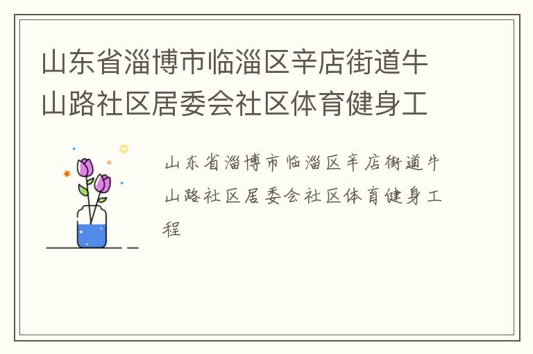 山東省淄博市臨淄區辛店街道牛山路社區居委會社區體育健身工程