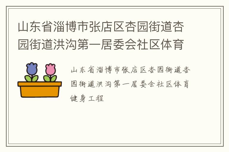 山東省淄博市張店區(qū)杏園街道杏園街道洪溝第一居委會(huì)社區(qū)體育健身工程