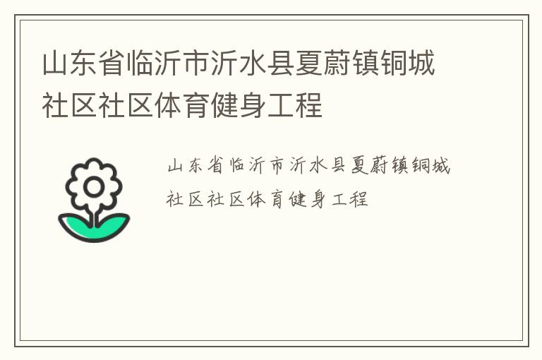 山東省臨沂市沂水縣夏蔚鎮(zhèn)銅城社區(qū)社區(qū)體育健身工程