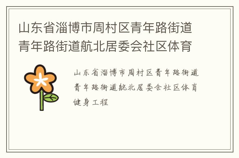 山東省淄博市周村區青年路街道青年路街道航北居委會社區體育健身工程