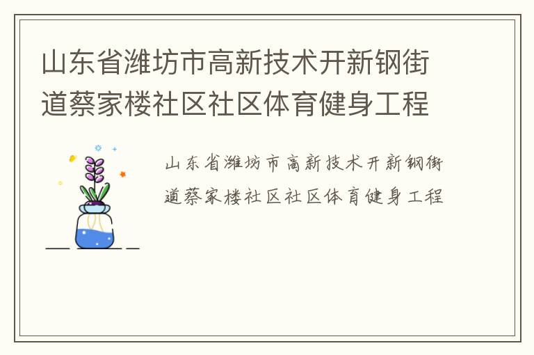 山東省濰坊市高新技術開新鋼街道蔡家樓社區社區體育健身工程