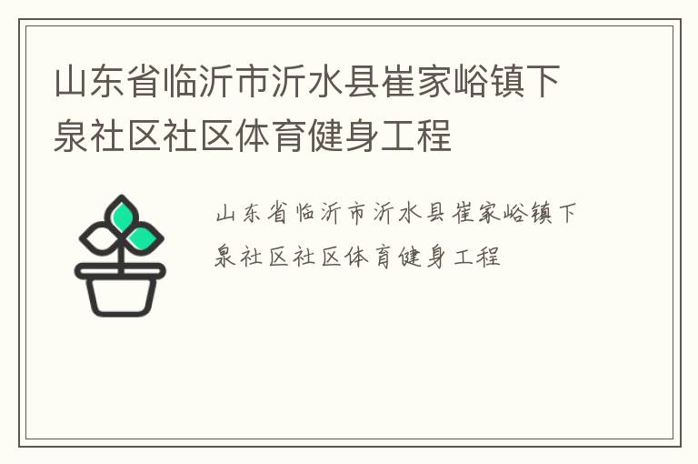 山東省臨沂市沂水縣崔家峪鎮下泉社區社區體育健身工程