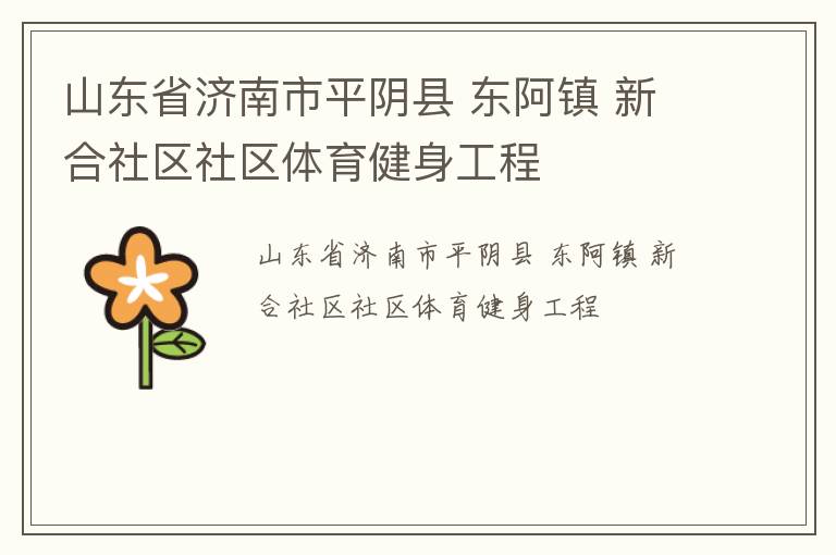 山東省濟南市平陰縣 東阿鎮 新合社區社區體育健身工程