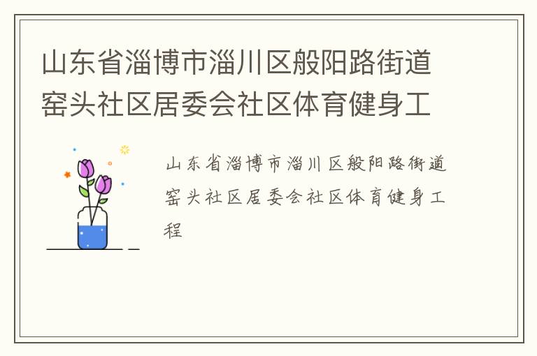 山東省淄博市淄川區般陽路街道窯頭社區居委會社區體育健身工程