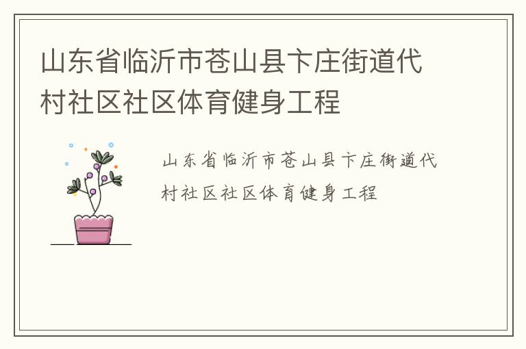 山東省臨沂市蒼山縣卞莊街道代村社區社區體育健身工程
