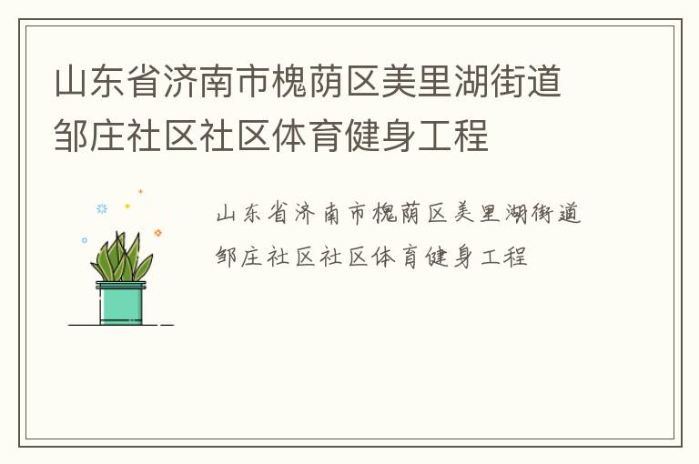 山東省濟南市槐蔭區美里湖街道鄒莊社區社區體育健身工程