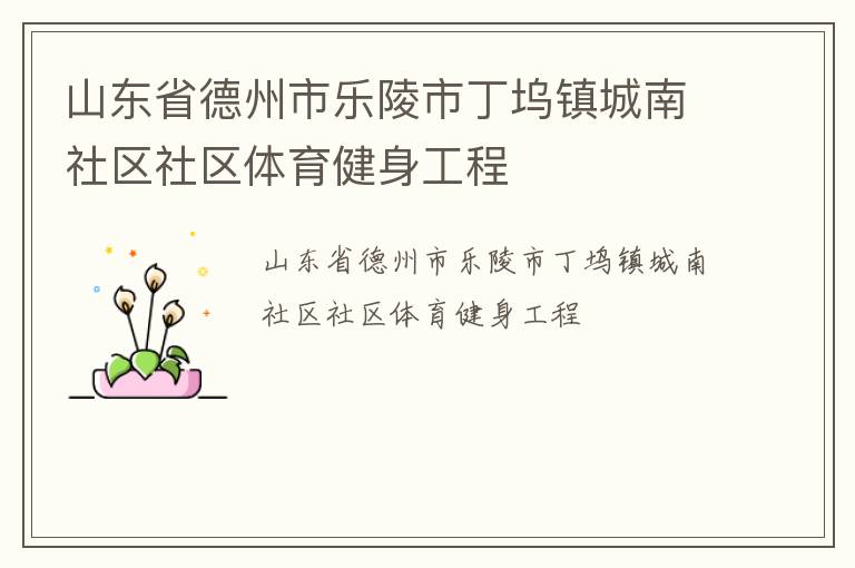 山東省德州市樂陵市丁塢鎮城南社區社區體育健身工程