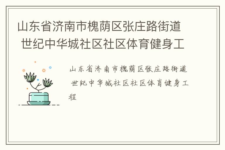 山東省濟南市槐蔭區張莊路街道 世紀中華城社區社區體育健身工程