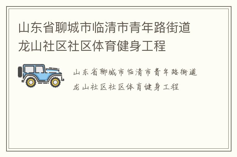 山東省聊城市臨清市青年路街道龍山社區社區體育健身工程