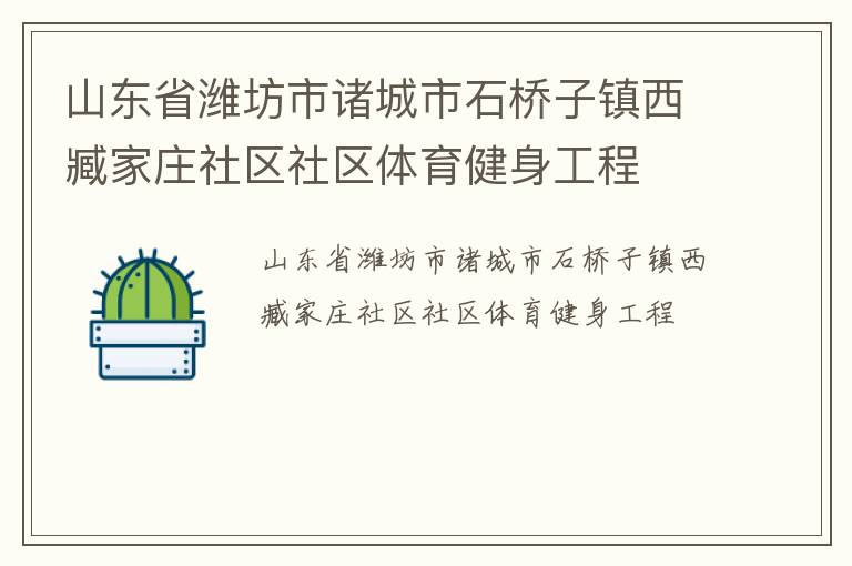 山東省濰坊市諸城市石橋子鎮西臧家莊社區社區體育健身工程