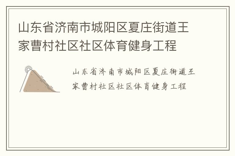 山東省濟(jì)南市城陽區(qū)夏莊街道王家曹村社區(qū)社區(qū)體育健身工程