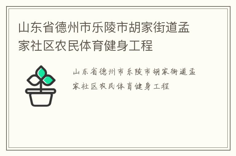 山東省德州市樂(lè)陵市胡家街道孟家社區(qū)農(nóng)民體育健身工程