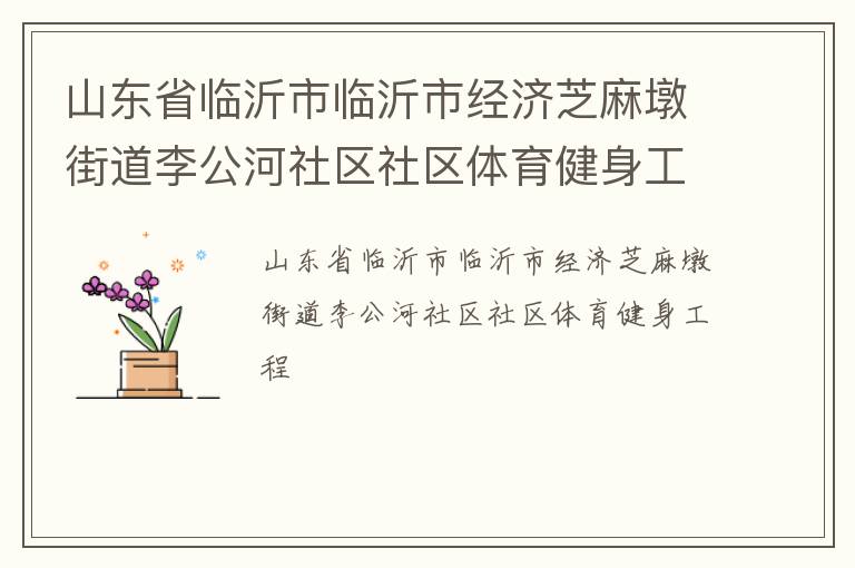 山東省臨沂市臨沂市經濟芝麻墩街道李公河社區社區體育健身工程