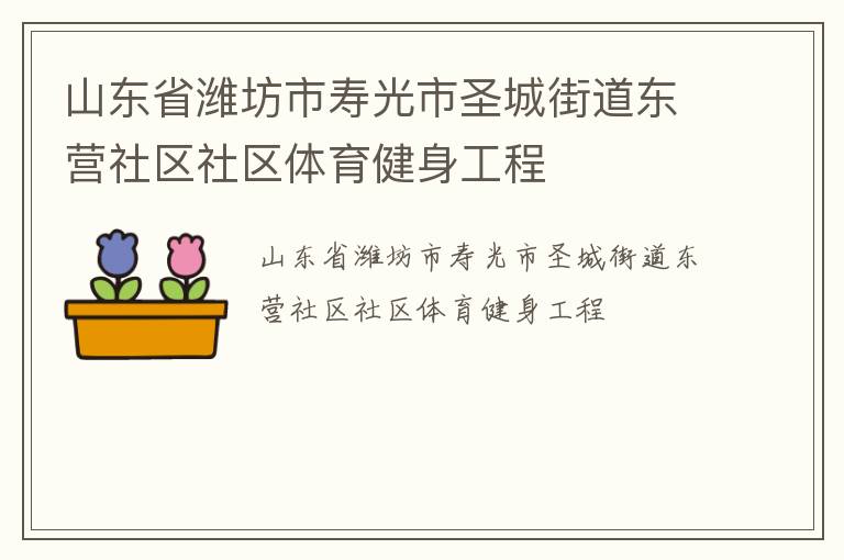 山東省濰坊市壽光市圣城街道東營社區社區體育健身工程